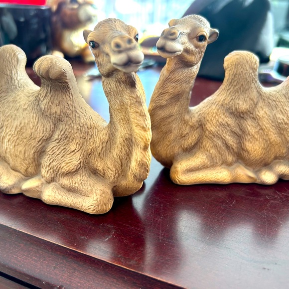 Vintage Global Art Camels New Original Set Showcase Stored Stamped Perfect - Picture 5 of 8